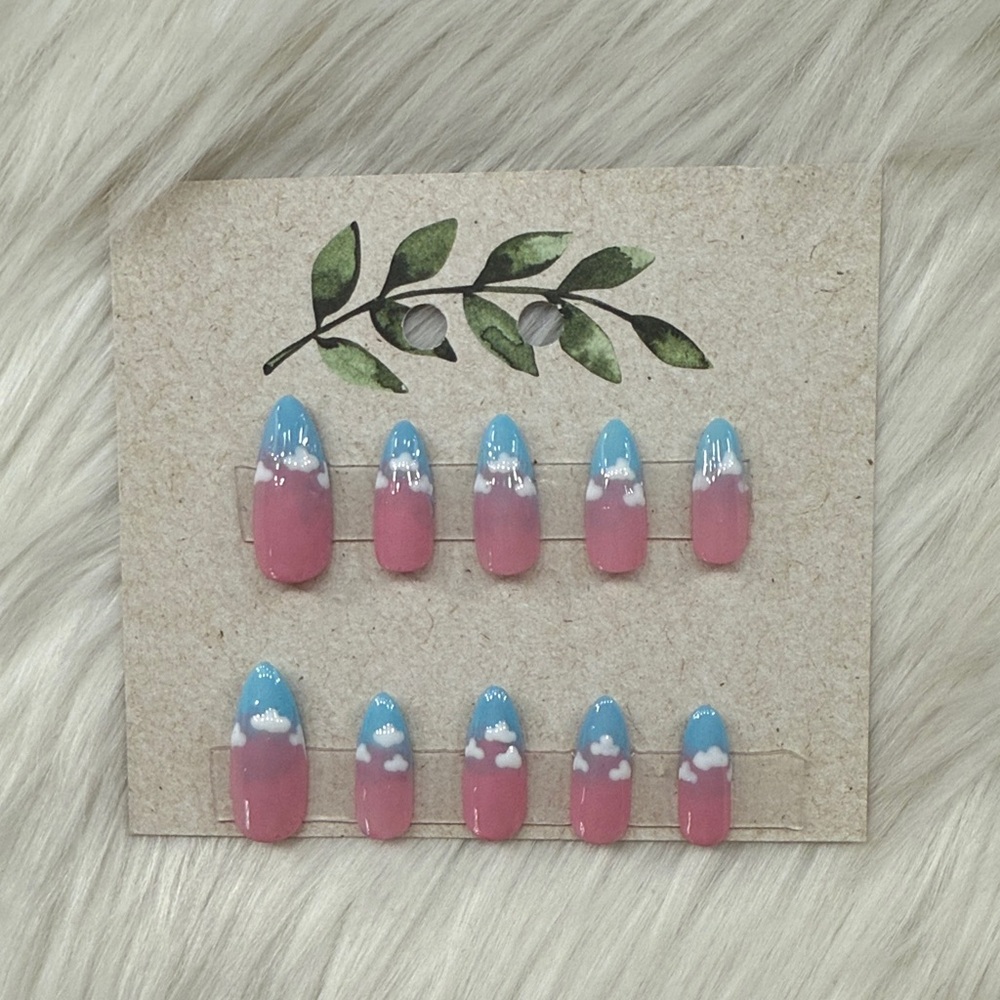 Pink and Blue  Nail Set